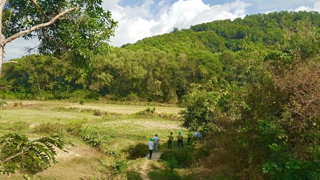 Mekong Delta acts to prevent forest fires in dry season The risk of fire has been raised to the fourth level in the area near Dai Mountain in An Giang province’s Tinh Bien district.(Photo: VNA)