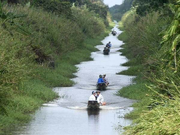 Du khách tham quan khu vườn quốc gia U Minh Hạ. (Ảnh: Thế Anh/TTXVN)