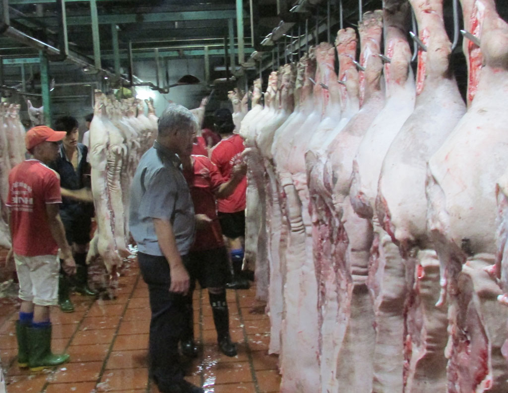 Người chăn nuôi chủ động phòng bệnh trên gia súc, gia cầm Tăng cường kiểm soát tại các lò giết mổ để hạn chế dịch bệnh