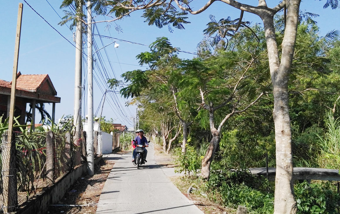 Đường nông thôn xã Phú Ngãi Trị, huyện Châu Thành được lắp đèn chiếu sáng từ sự vận động của Hội Cựu chiến binh