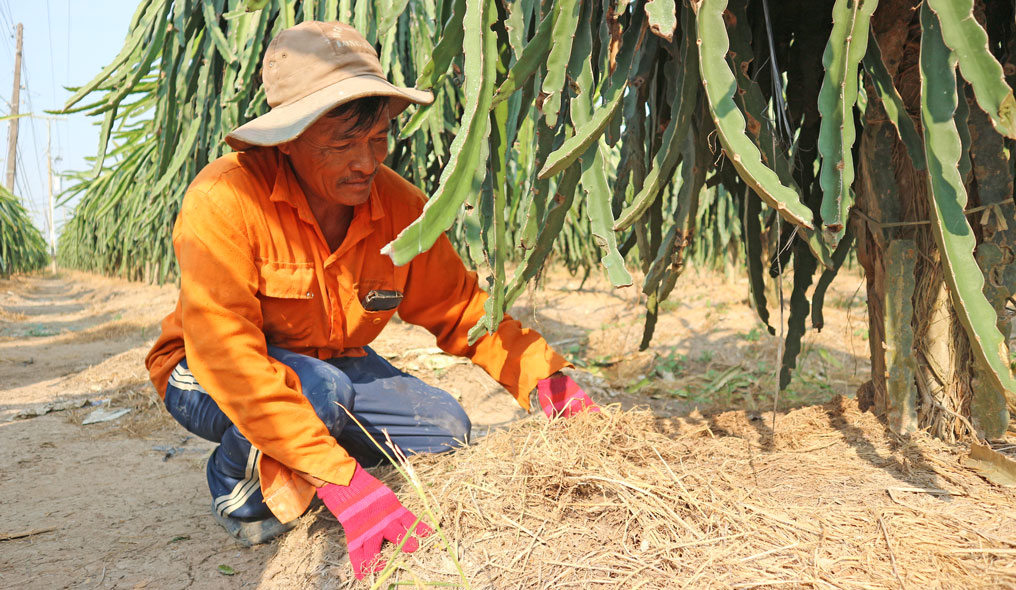 Khi cựu chiến binh làm dân vận Duy trì hiệu quả các tổ tiết kiệm vay vốn giúp hội cựu chiến binh phát triển sản xuất