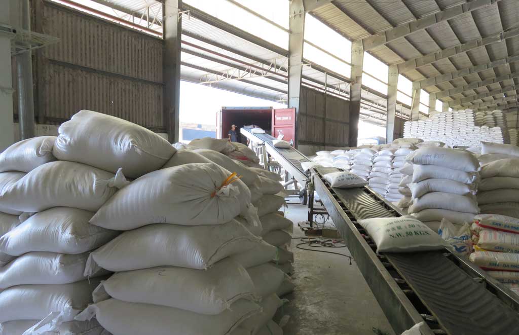 Gạo tồn kho còn nhiều nên doanh nghiệp chưa mạnh dạn thu mua lúa vụ Đông Xuân
