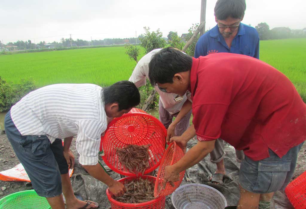 Diện mạo mới của cù lao Long Hựu