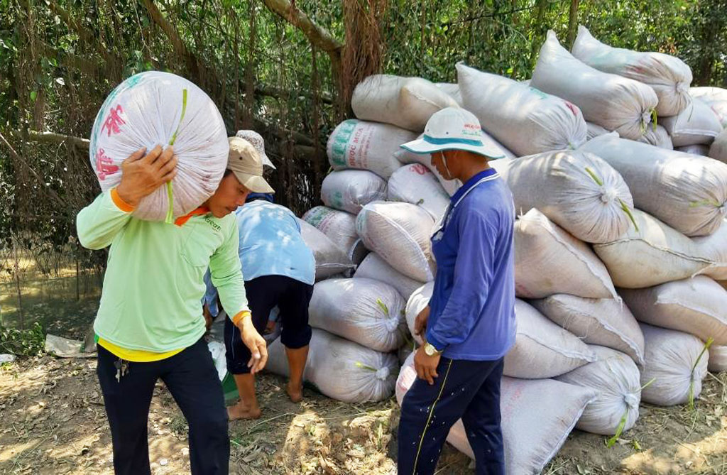 Nông dân thất vọng vì doanh nghiệp không mua lúa