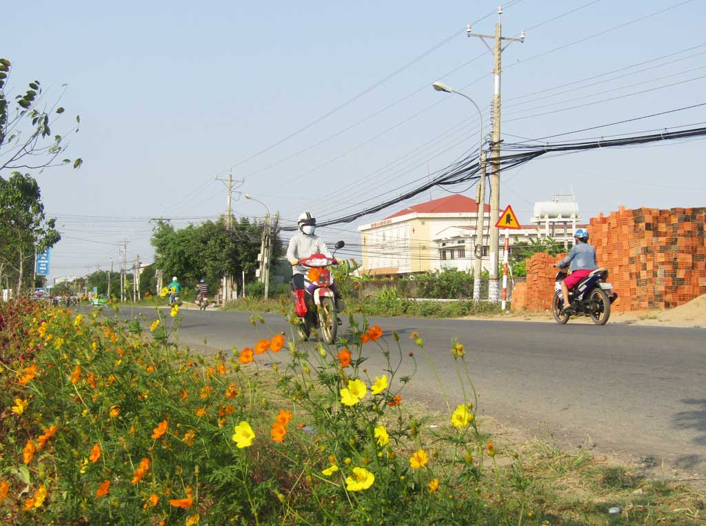 Hoa đua nhau khoe sắc, mang đến diện mạo tươi mới cho phường 7