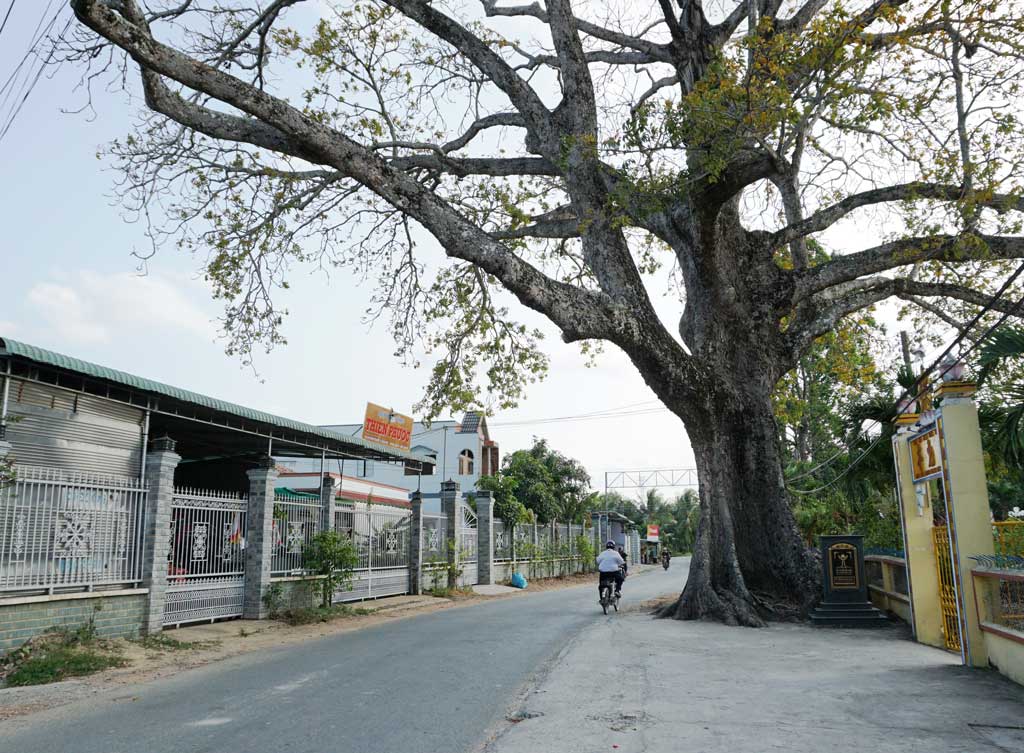 Hệ thống đường tại Khánh Hậu được đầu tư xây dựng ngày càng khang trang