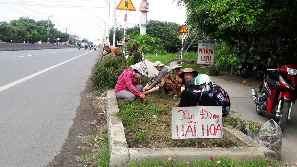 Phụ nữ ra quân vệ sinh môi trường, chăm sóc hoa trên Quốc lộ 1