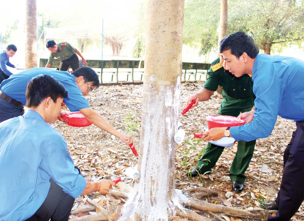 Đoàn viên, thanh niên quét vôi gốc cây xanh, tạo mỹ quan xanh, sạch, đẹp