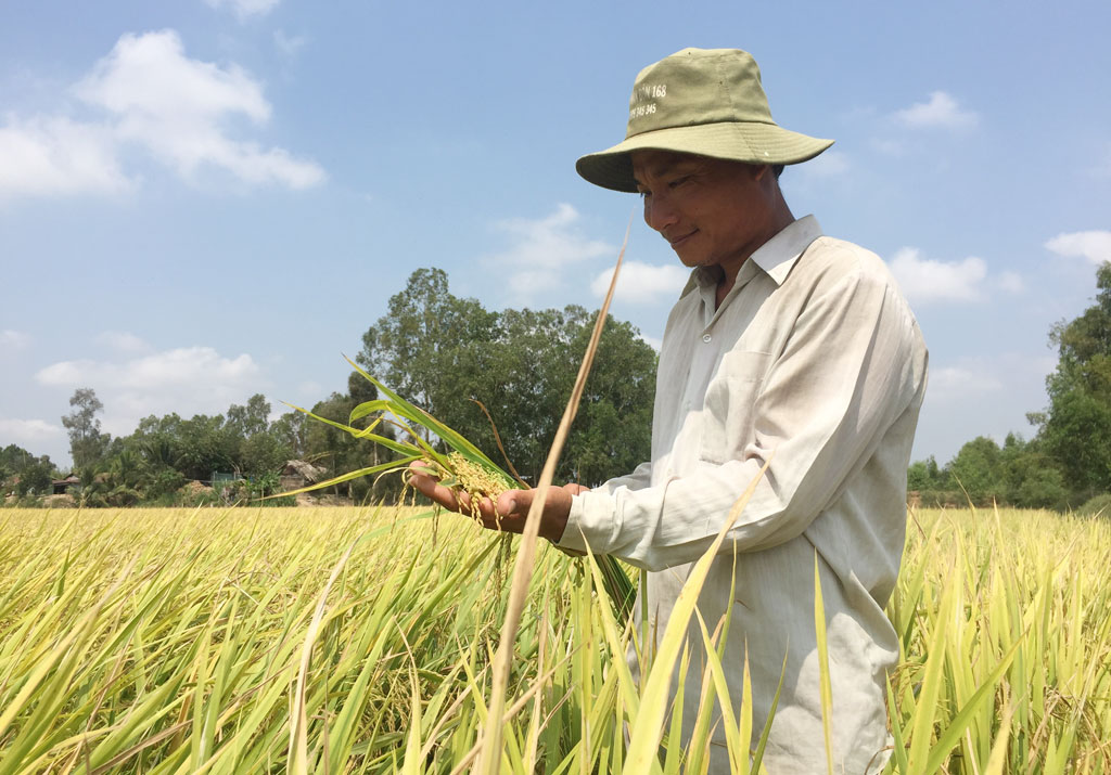 Ứng dụng công nghệ cao vào sản xuất giúp nông dân tăng năng suất, chất lượng nông sản