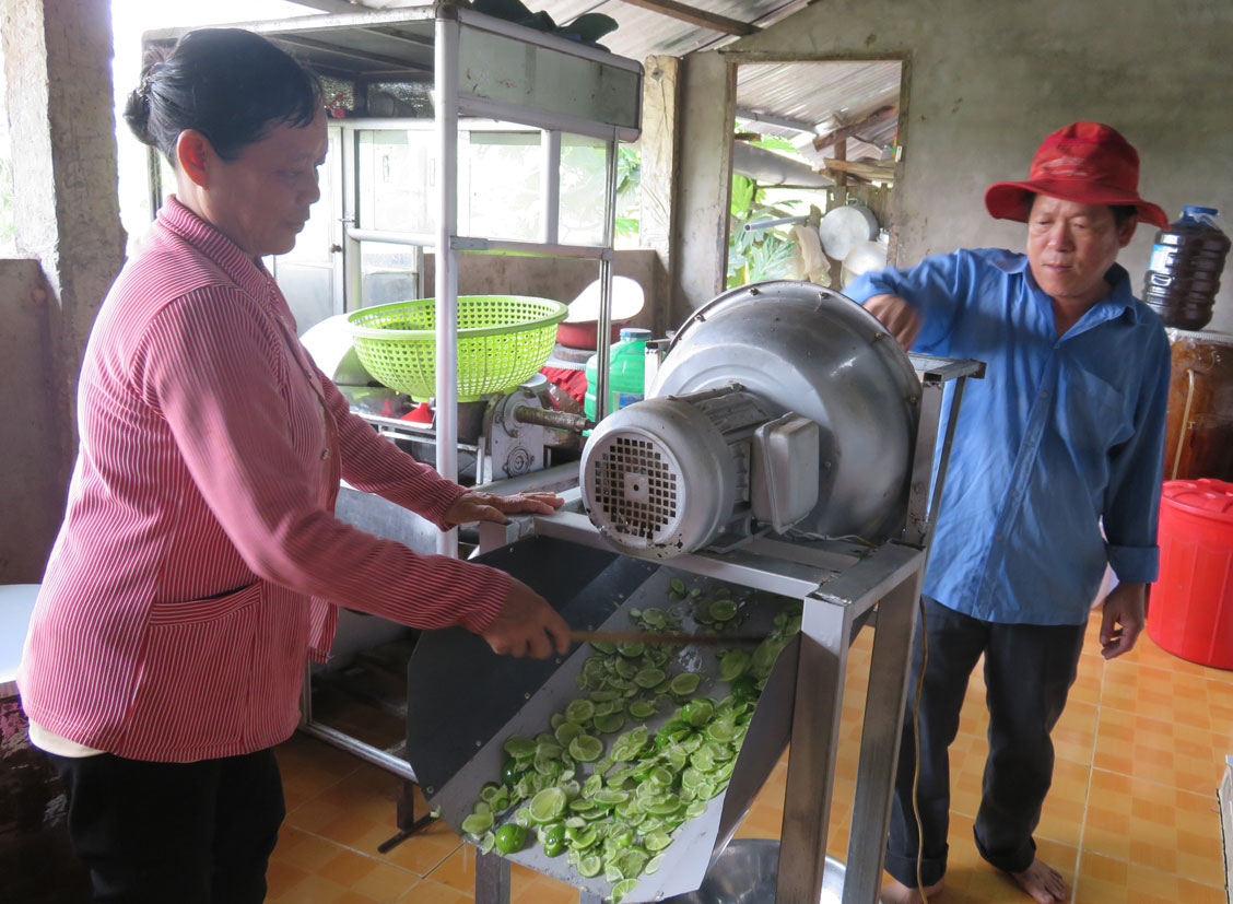 Rượu chanh - Sản phẩm sáng tạo của nhà nông Máy cắt chanh được ông Khắp nghiên cứu, tạo ra nhằm giảm sức lao động