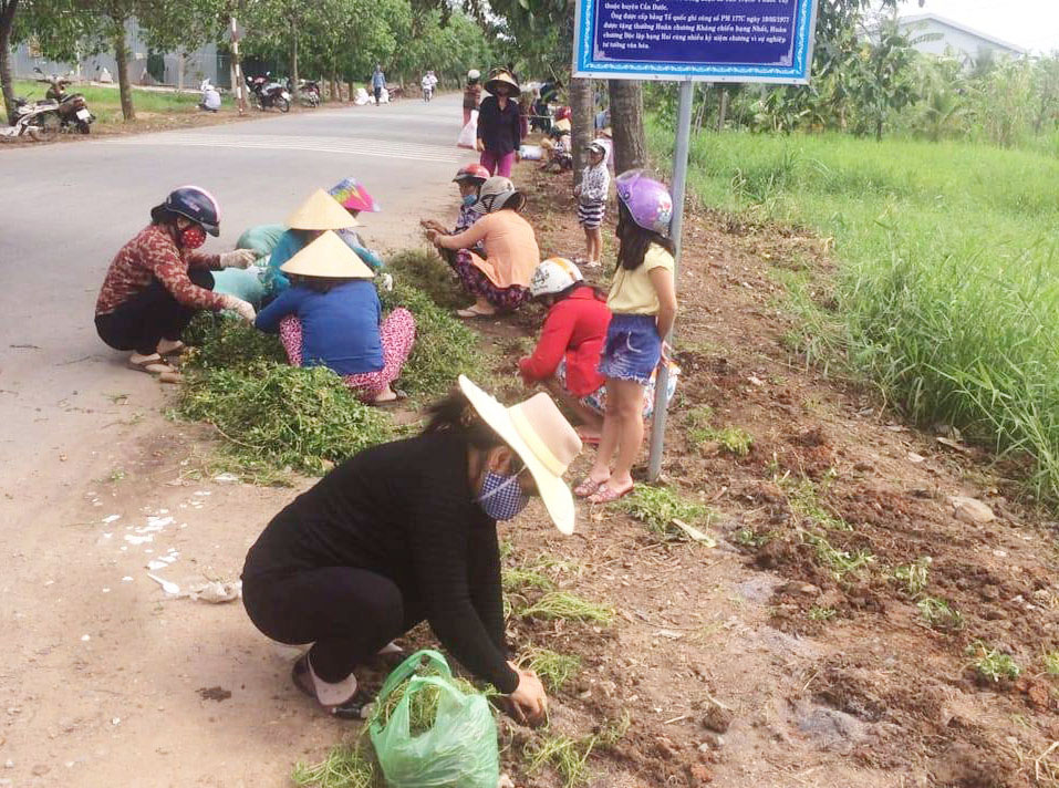 Vào ngày nghỉ các chị tích cực tham gia trồng hoa ở các tuyến đường trên địa bàn phường Tân Khánh 