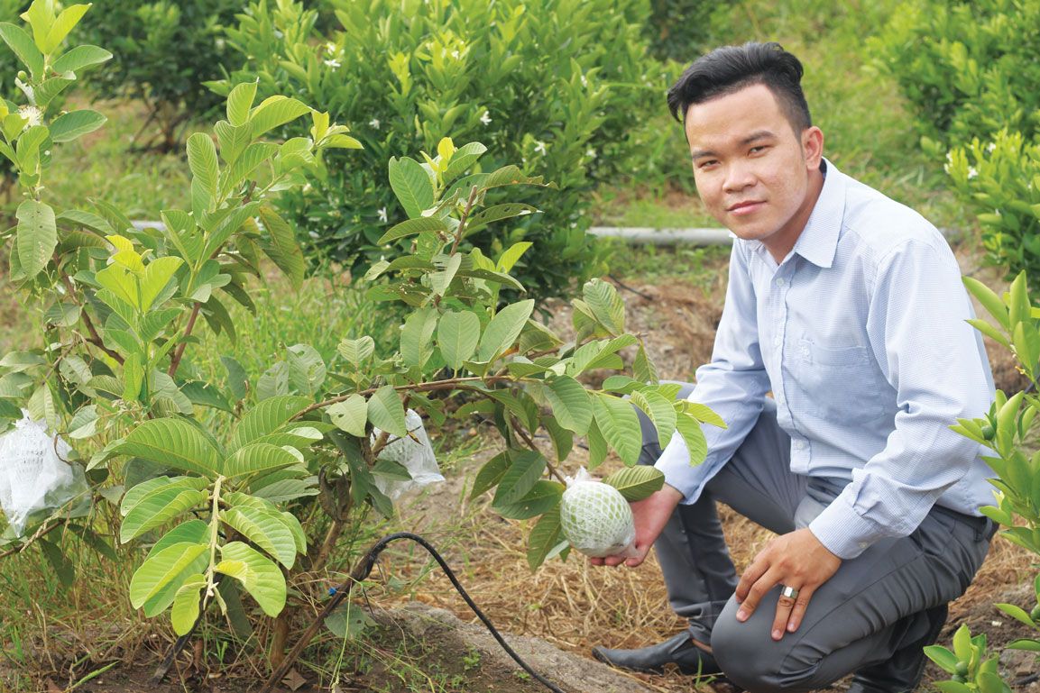 Anh Lê Hiếu Đan với vườn cây ăn quả xen canh