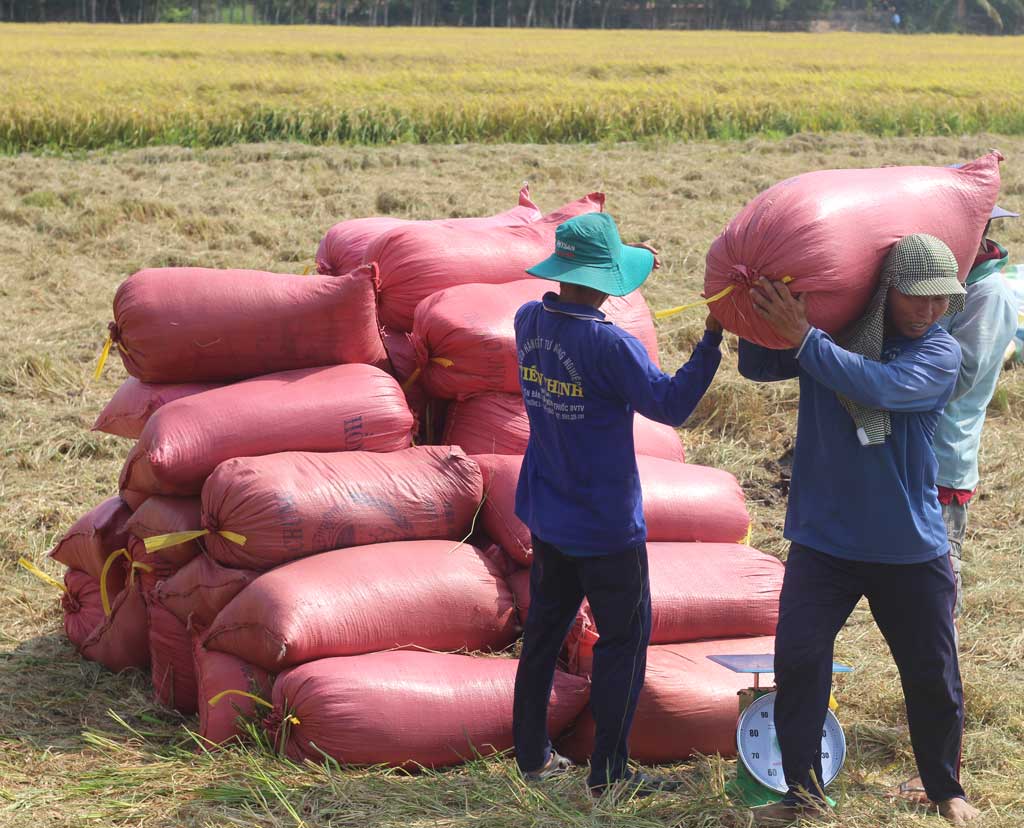 Liên kết trong sản xuất mang lại hiệu quả cao