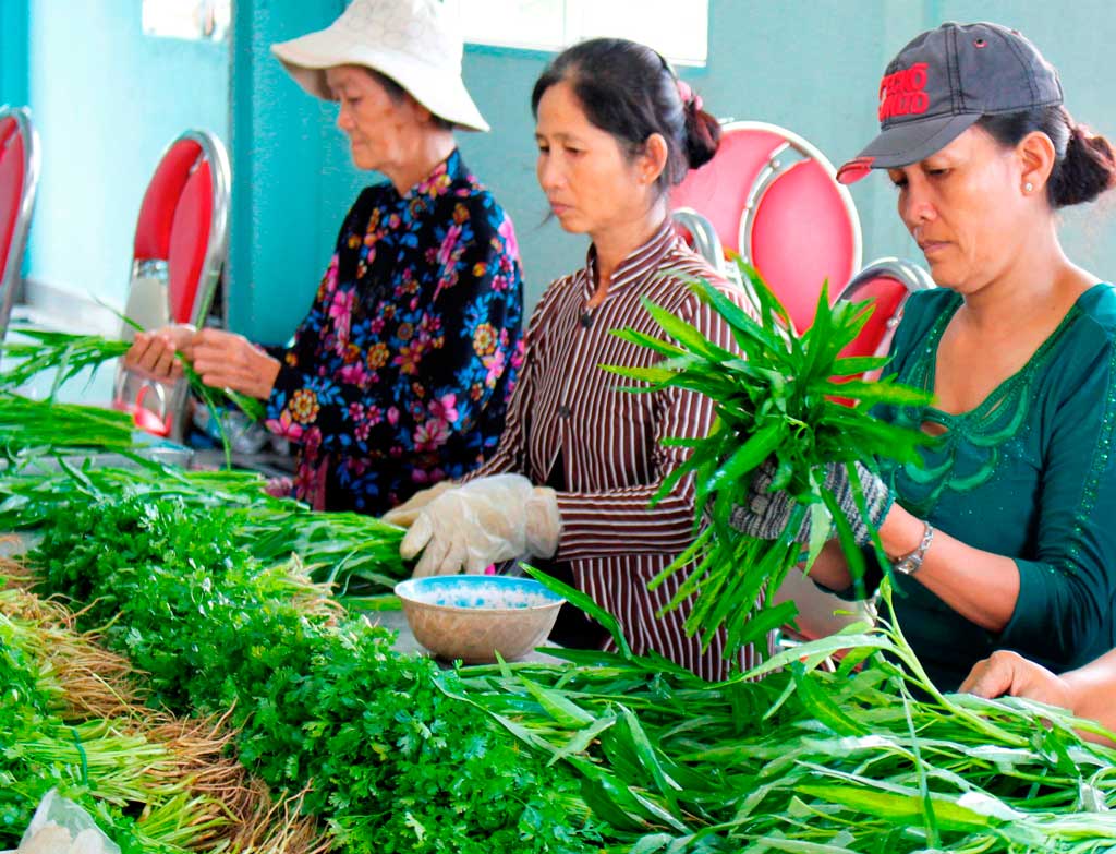 Liên kết trong sản xuất mang lại hiệu quả cao