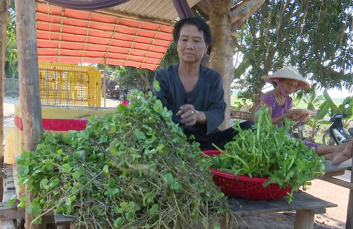 Bà Nguyễn Thị Ngà bán rau trước cửa nhà