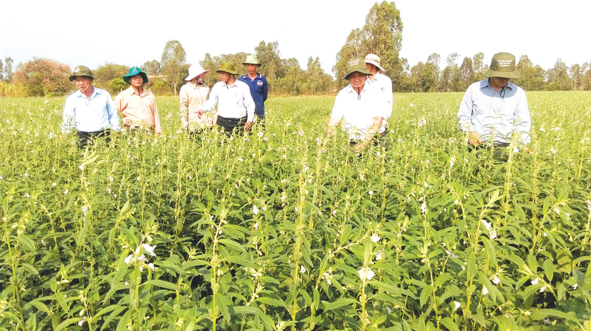 Nông nghiệp trở thành mũi nhọn trong phát triển kinh tế của huyện