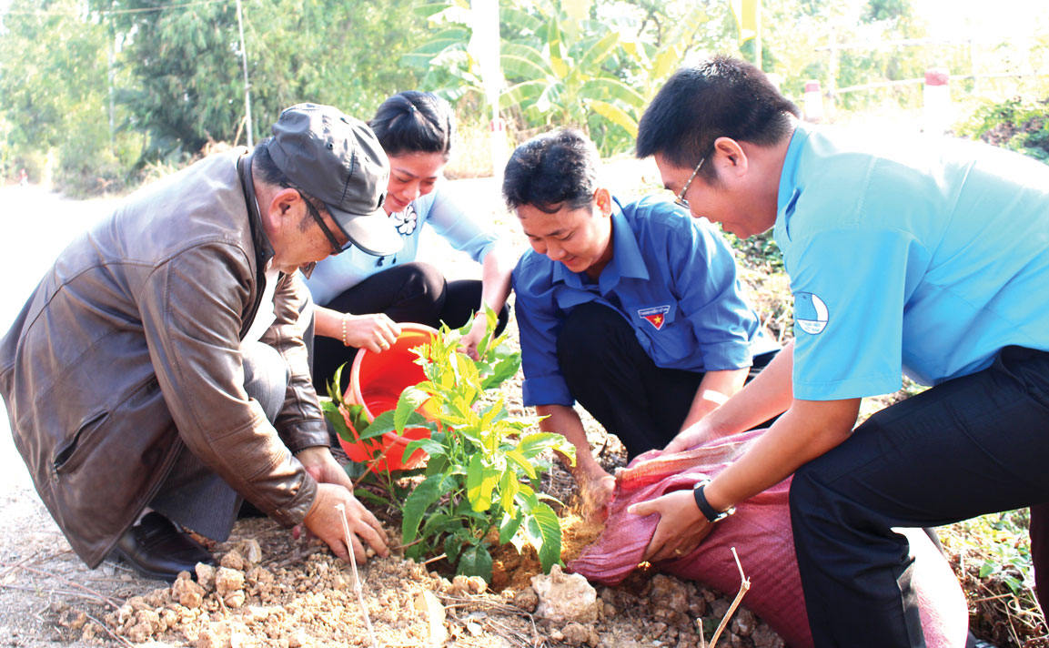 Thanh niên tích cực tham gia các hoạt động vì cộng đồng