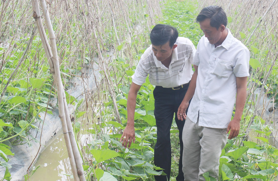 Hợp tác xã Nông nghiệp Mỹ Thạnh tạo điều kiện cho nông dân tiếp cận nguồn vốn vay ưu đãi từ Phòng Giao dịch Ngân hàng Chính sách Xã hội huyện Thủ Thừa để phát triển sản xuất