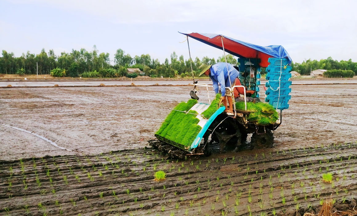 Hướng đến mục tiêu phát triển nông nghiệp bền vững Áp dụng tiến bộ khoa học - kỹ thuật trong sản xuất