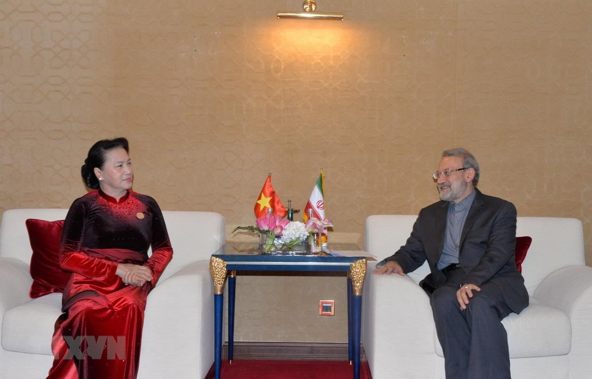 Chủ tịch Quốc hội Nguyễn Thị Kim Ngân đã hội kiến Chủ tịch Quốc hội Iran Ali Ardeshir Larijani. (Ảnh: Trọng Đức/TTXVN)