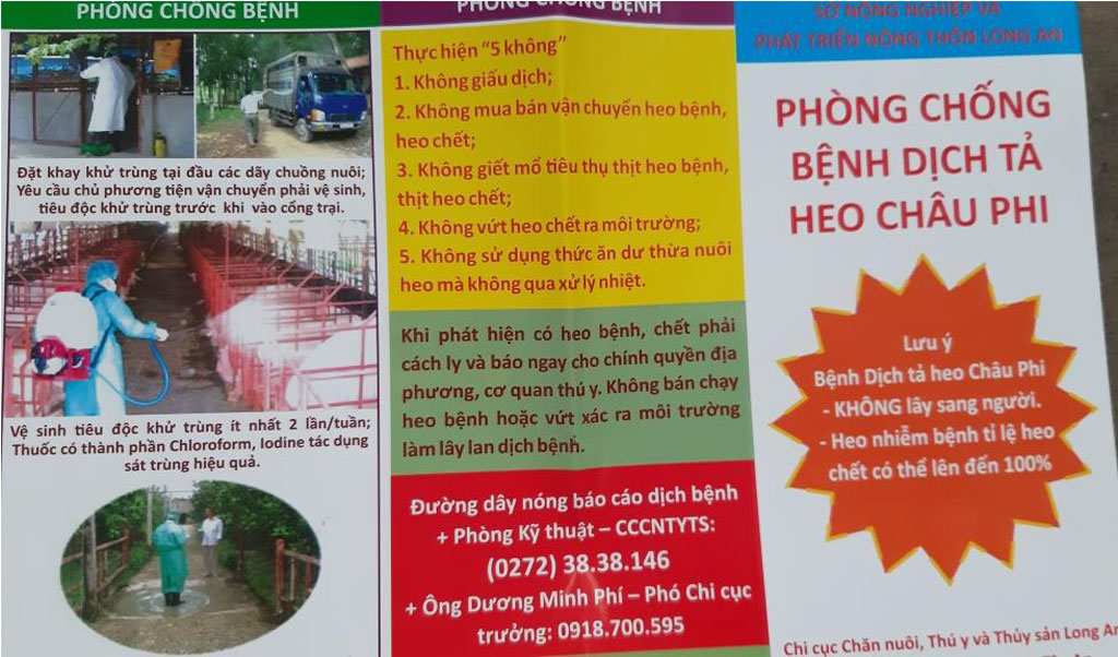 Long An chủ động phòng, chống hiệu quả dịch tả heo Châu Phi
