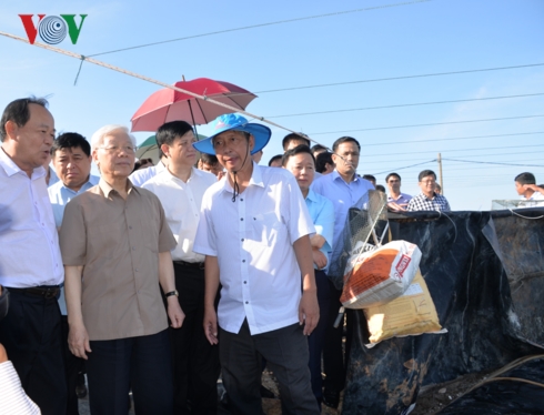 Tổng Bí thư, Chủ tịch nước Nguyễn Phú Trọng làm việc tại Kiên Giang Tổng Bí thư, Chủ tịch nước Nguyễn Phú Trọng tham quan mô hình nuôi tôm công nghiệp tại Kiên Giang.