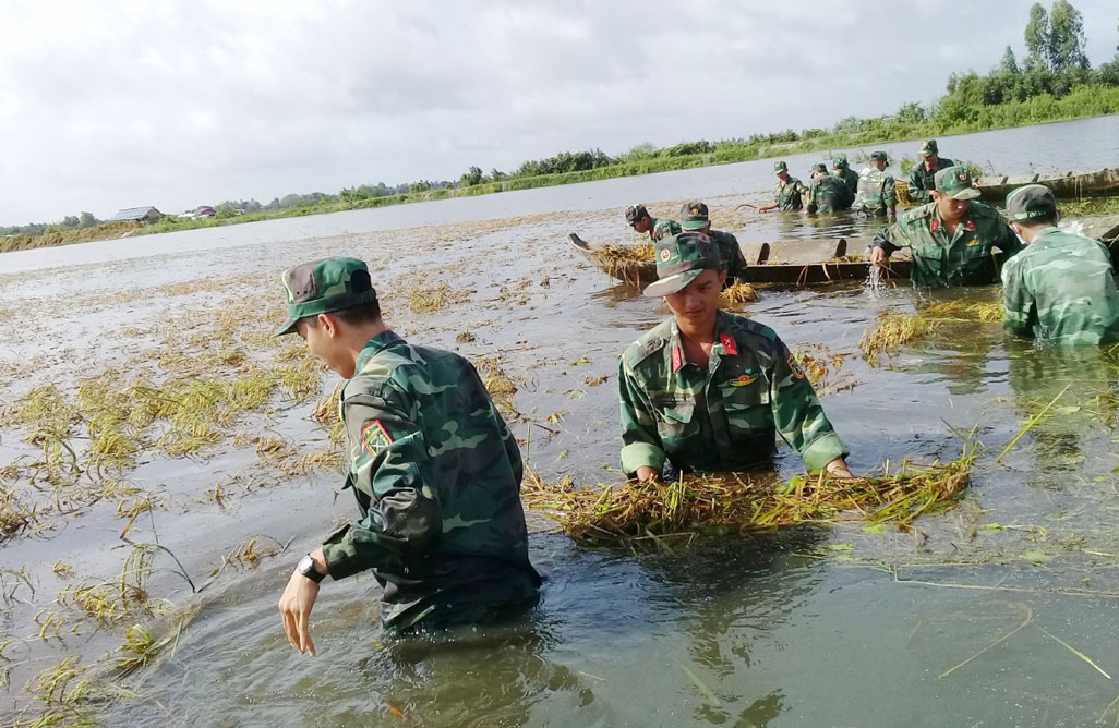 Giúp dân thu hoạch lúa chạy lũ