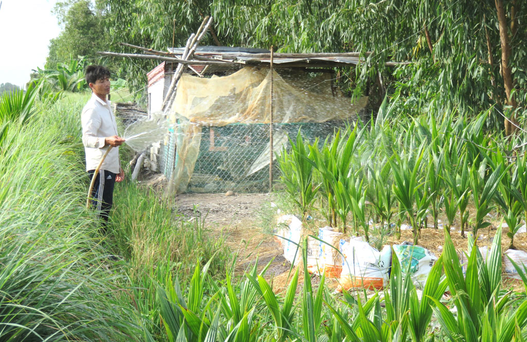 Với sự quan tâm, hỗ trợ của địa phương, nhiều hộ mạnh dạn chuyển đổi cơ cấu cây trồng, vật nuôi hiệu quả, nâng cao thu nhập