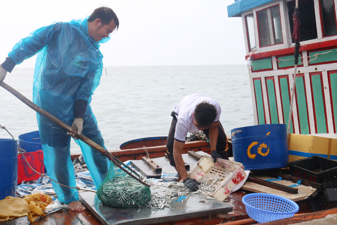 Lý Sơn, sức sống căng tràn ngày mới