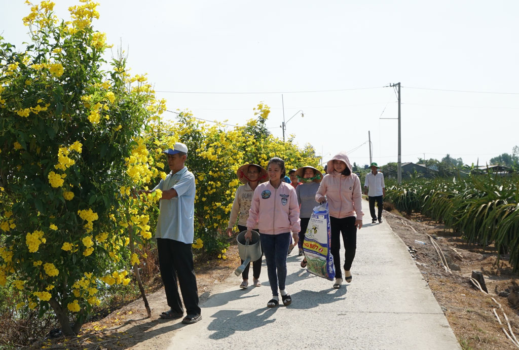 Người dân ấp Thanh Quới xã Thanh Phú Long dọn dẹp vệ sinh môi trường trên tuyến đường hoa