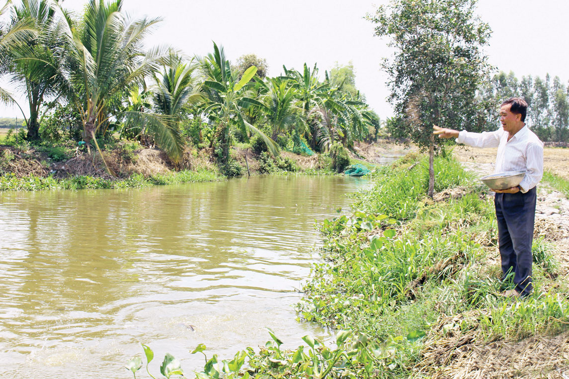 Đến tham quan mô hình du lịch sinh thái miệt vườn của ông Ba Be, du khách có thể tự tay câu, chế biến và thưởng thức các loại cá đồng