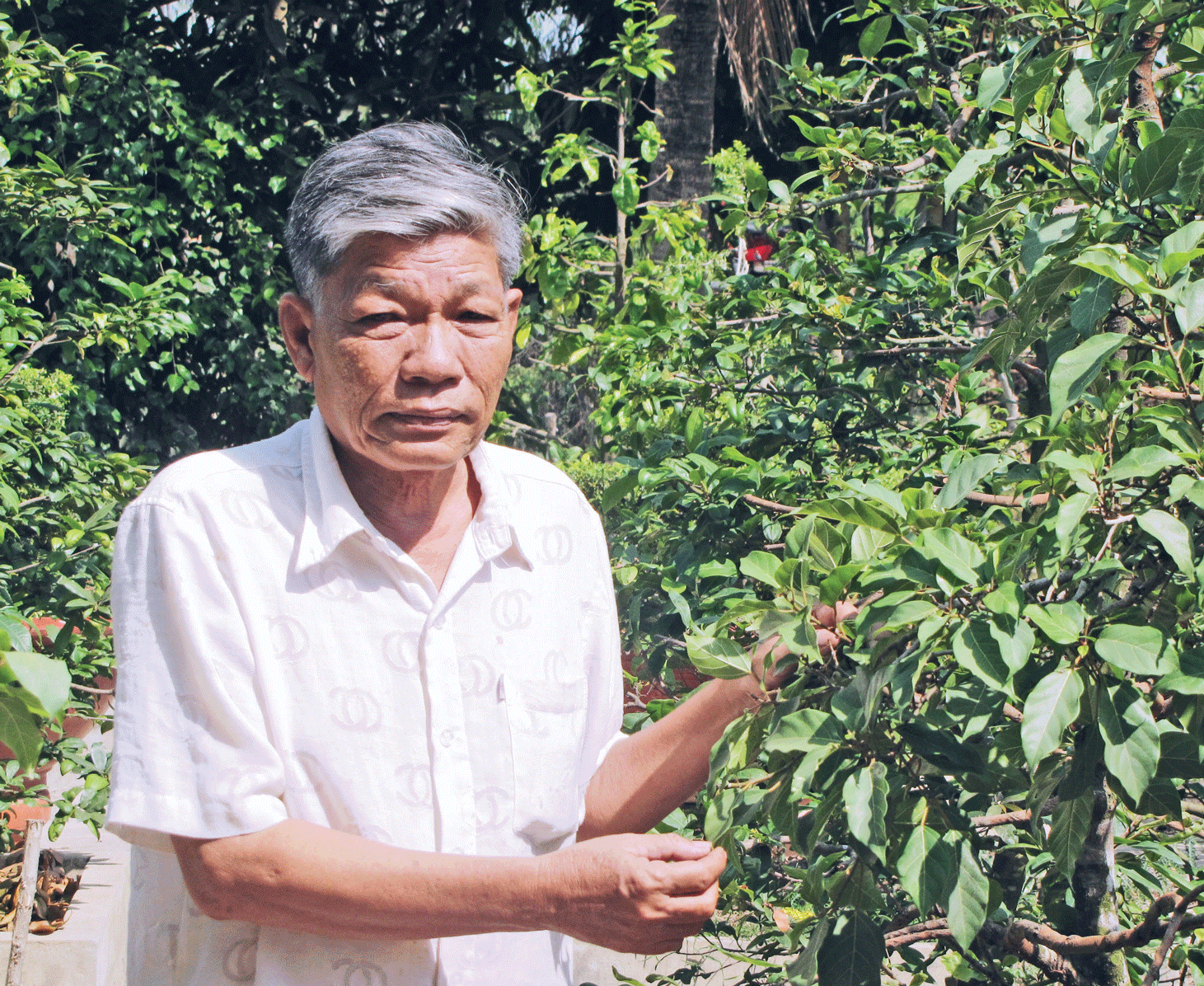 Anh hùng Lực lượng vũ trang Nguyễn Văn Minh