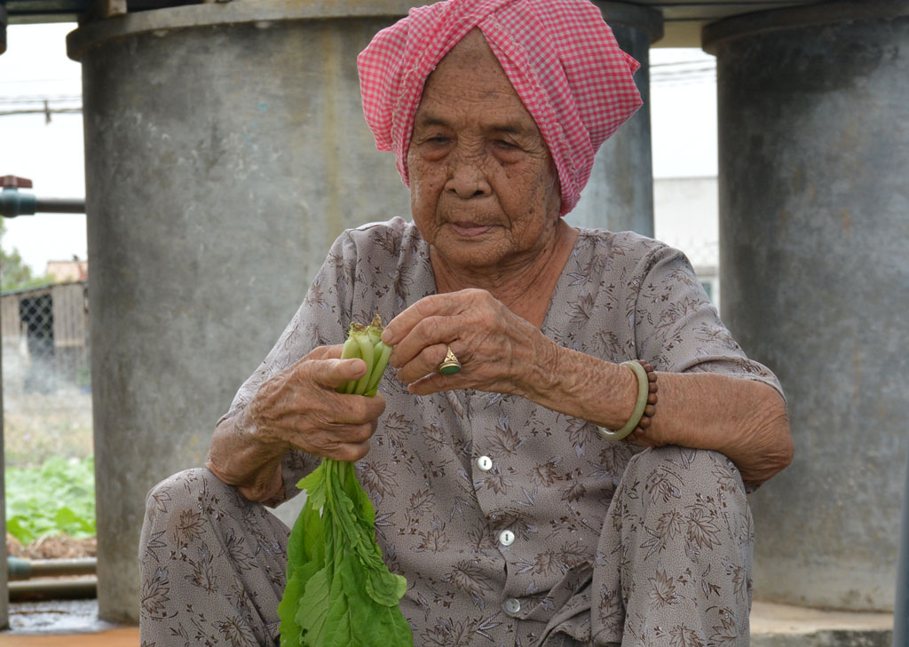 Mẹ Việt Nam Anh hùng Võ Thị Hai