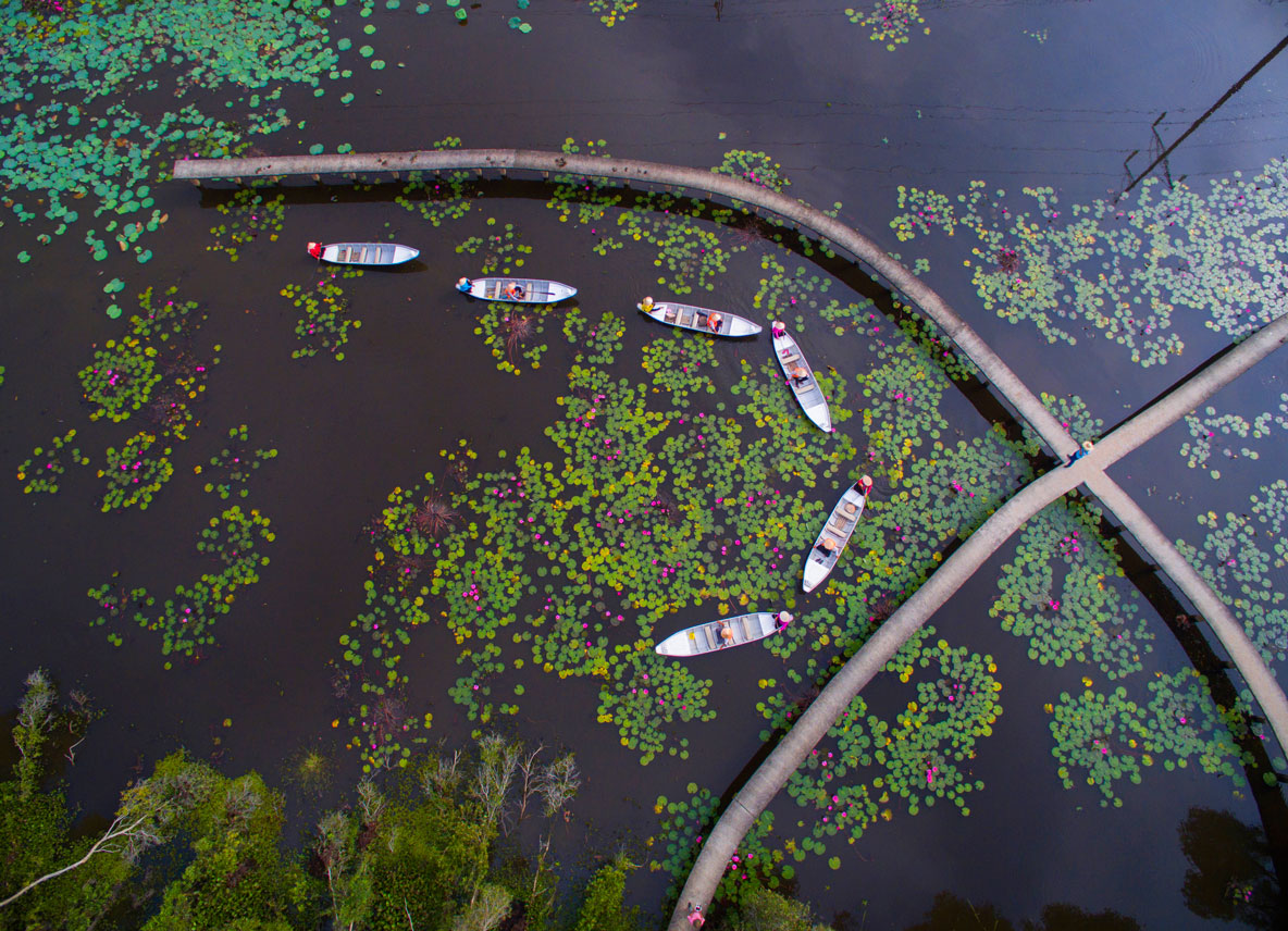 One day going backpacking tourism in Long An Coming to Tan Lap Floating Village, visitors themselves can enjoy nature
