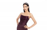 Á hậu Hoàng Thùy được đề cử chính thức tham gia Miss Universe 2019