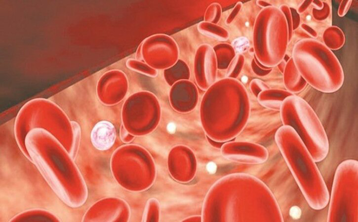 Ngăn ngừa thiếu máu: Ngô bao tử chứa nhiều sắt do vậy có thể phòng ngừa thiếu máu do thiếu sắt, giúp tăng cường và cải thiện tuần hoàn máu.