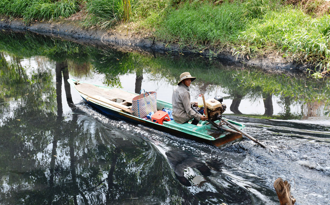 Kênh Ranh bị ô nhiễm nặng