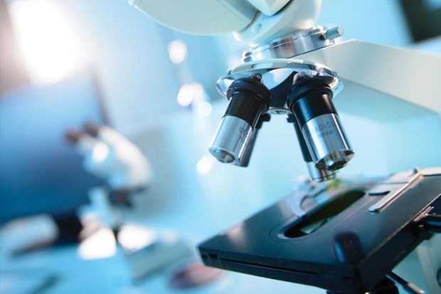 Nhật Bản thông qua sách trắng về khoa học và công nghệ 2019 Ảnh minh họa. (Nguồn: sciencetech)