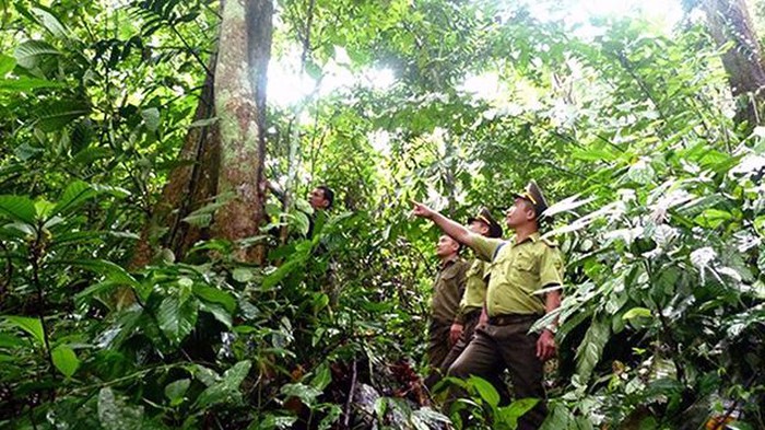 Lực lượng kiểm lâm tuần tra bảo vệ rừng khu vực xã Sơn Phú, huyện Na Hang (Tuyên Quang). Ảnh: PHẠM YẾN