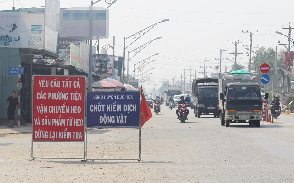 Kiểm tra, giám sát các chốt kiểm dịch, trạm trung chuyển heo trên địa bàn huyện Đức Hòa