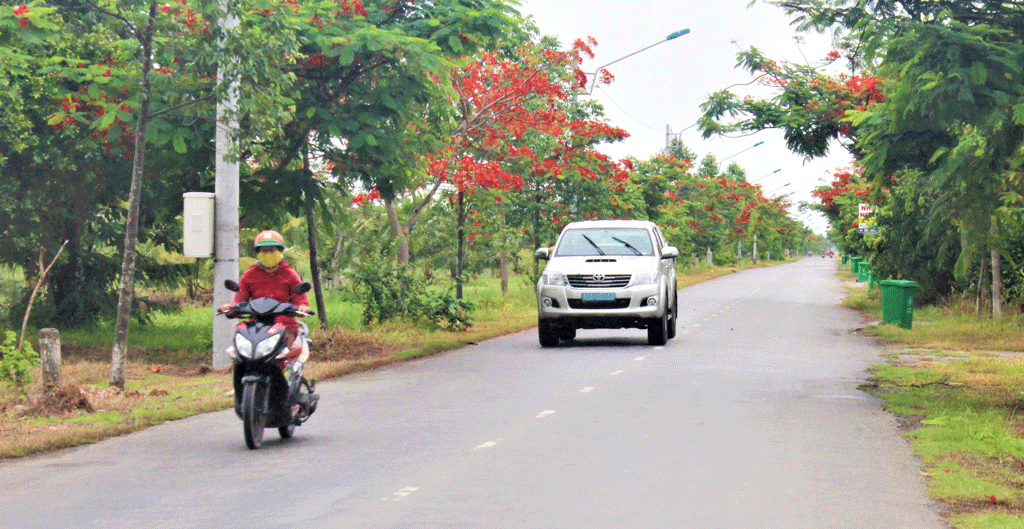 Con đường hoa phượng đỏ dẫn vào thị trấn Vĩnh Hưng