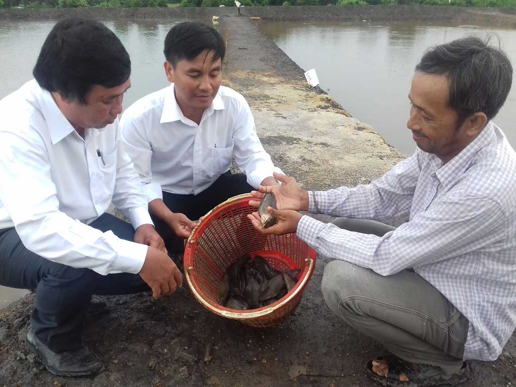 Phát triển thủy sản ở tiểu vùng Đồng Tháp Mười còn khó khăn