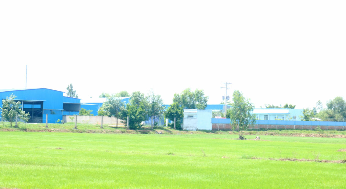 Nhà máy của Công ty Thiên Thanh vận hành gây ô nhiễm, bị người dân phản ánh