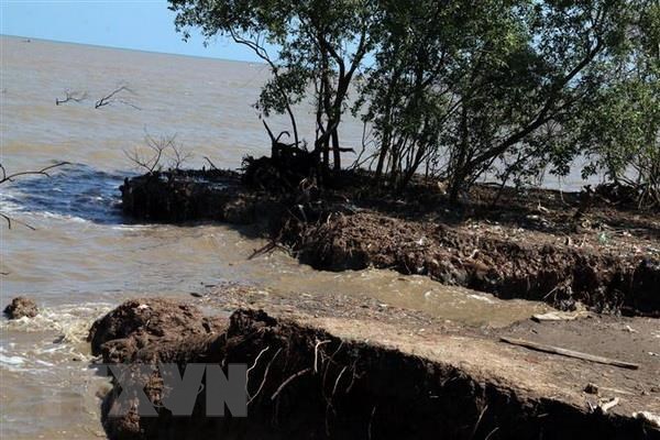 Kiên Giang công bố tình trạng sạt lở đê biển nghiêm trọng