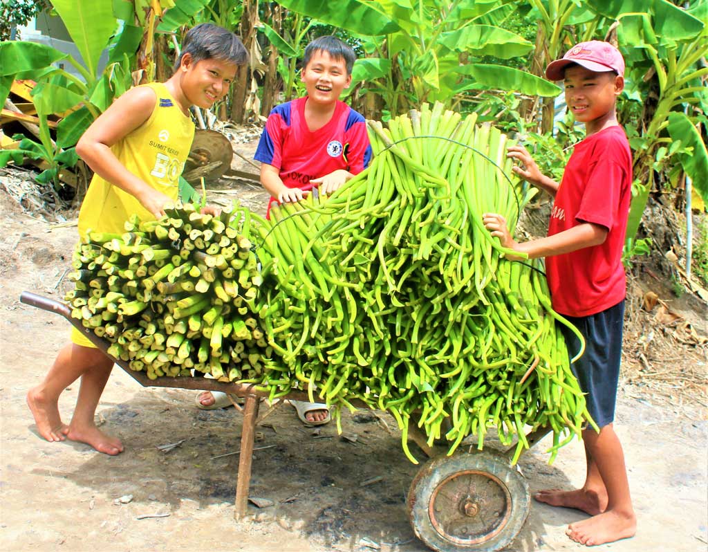 Mùa hè đối với trẻ em nghèo còn là mùa mưu sinh