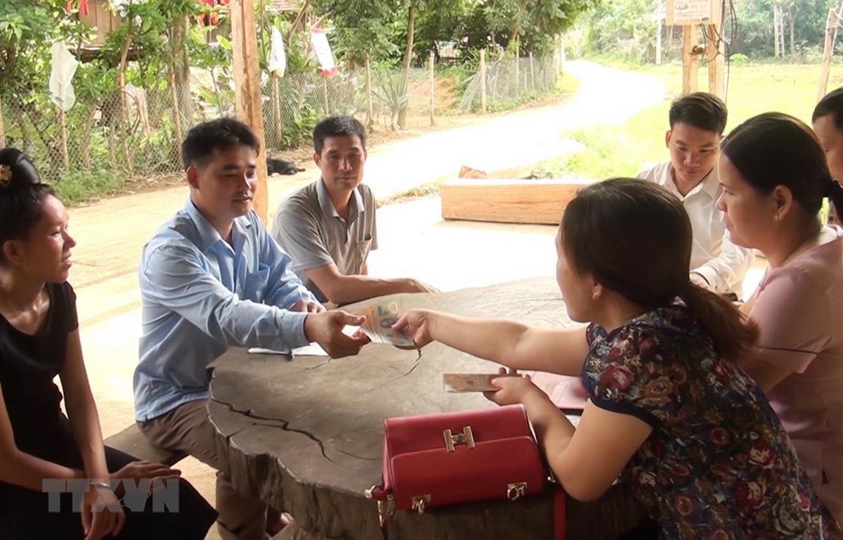 Các địa phương ứng phó, hỗ trợ hộ chăn nuôi bị dịch tả lợn châu Phi Hỗ trợ các hộ dân xã Mường Giàng có lợn tiêu hủy do dịch bệnh tả lợn châu Phi. (Ảnh: Nguyễn Cường/TTXVN)