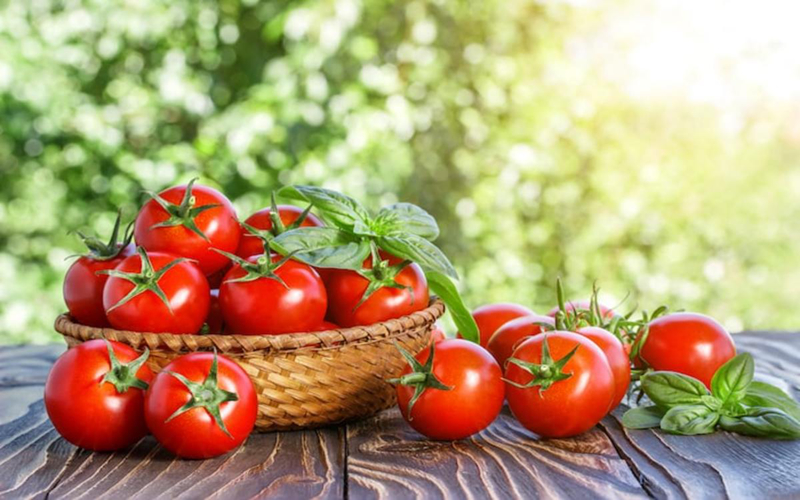 Cà chua: Chứa lycopene và các thành phần chống ung thư khác, cà chua có tác dụng ngăn ngừa ung thư dạ dày và ung thư đường ruột.