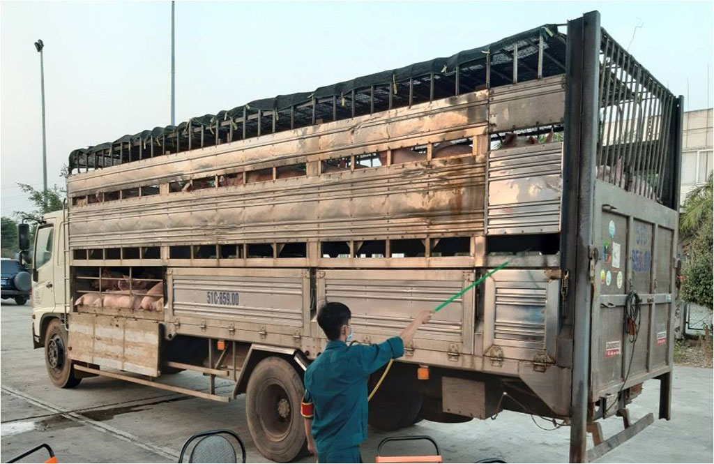 Các địa phương tăng cường tiêu độc, khử trùng các phương tiện vận chuyển heo và sản phẩm từ thịt heo ra, vào địa bàn