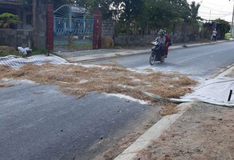 Cấp bách chống dịch tả heo châu Phi