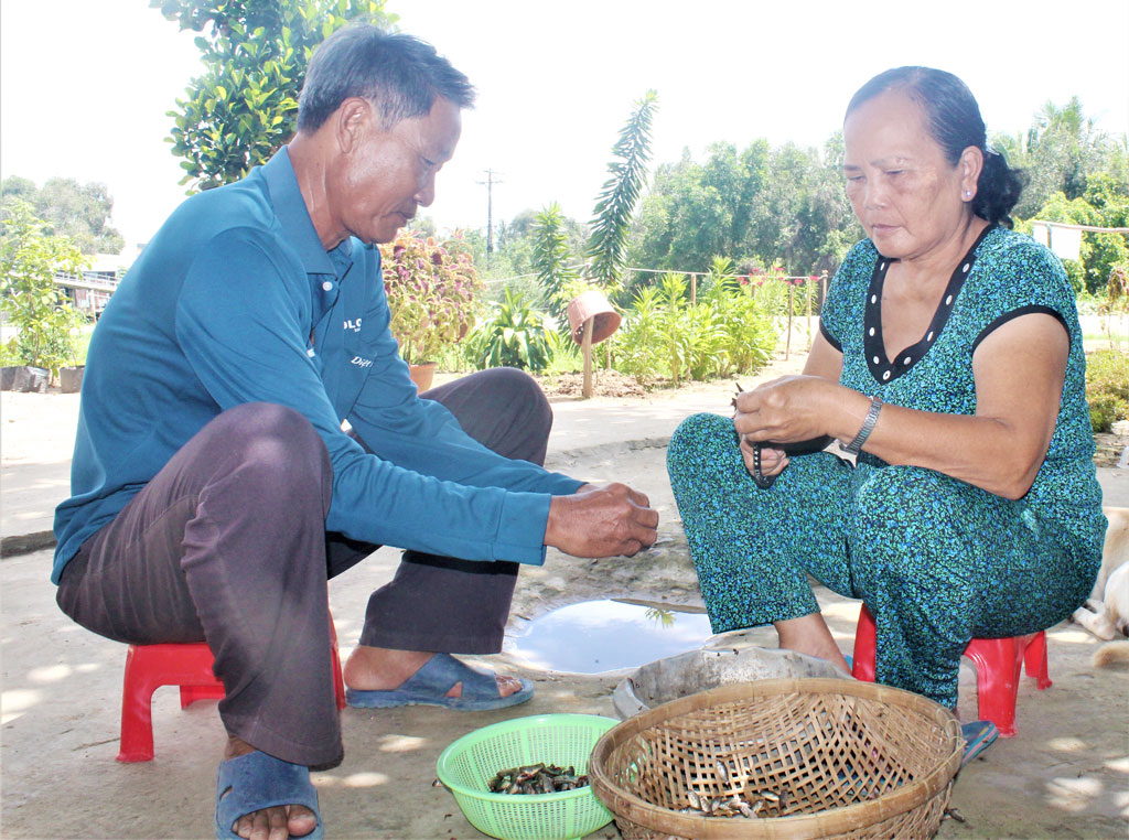 Gia đình ông Nguyễn Văn Bá không chỉ thực hiện tốt 3 tiêu chuẩn xây dựng gia đình văn hóa mà còn tích cực tham gia các hoạt động từ thiện, xã hội ở địa phương